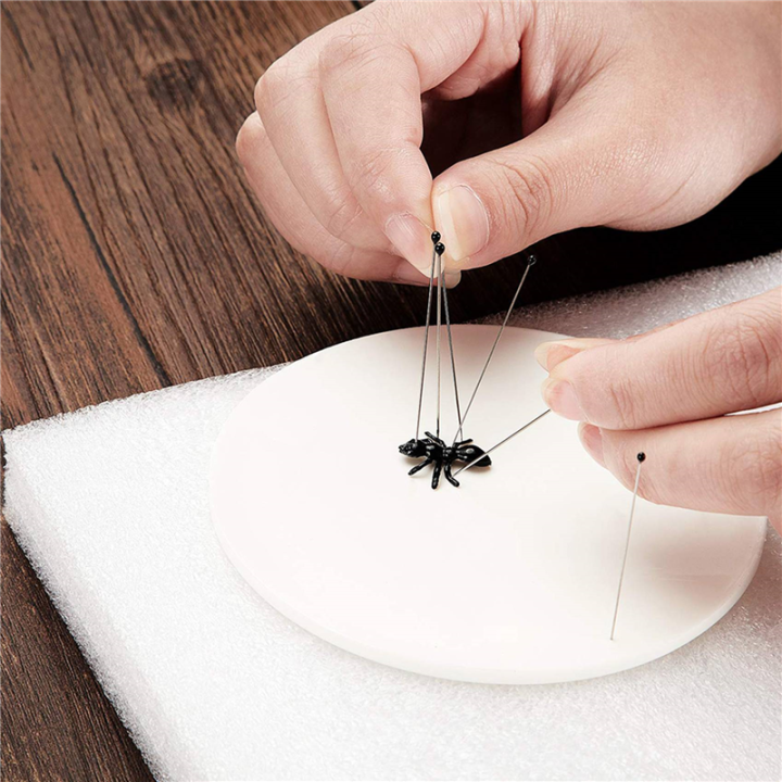Stainless%20Steel%20Insect%20Pins%20Kit%20Specimen%20Entomology%20Pins%20Insect%20Pins%20Kit%20Pack(5%20Sizes)%20-%20Image%206