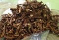 Dried Reishi Mushroom,100g. 