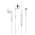 Lightning Earphone Direct Support. 