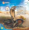 Dreamland Animals WOW Children Encyclopedia In Augmented Reality Age 6+ By KitabKalam. 