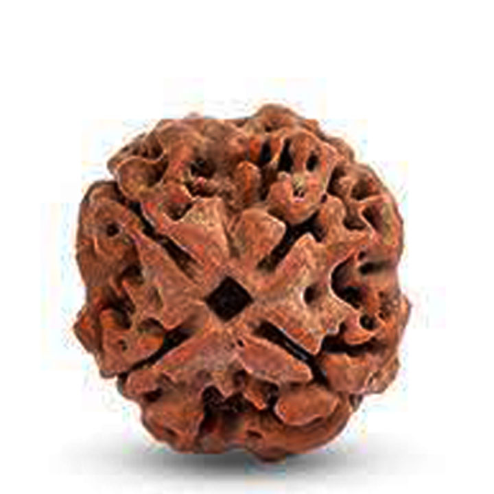 4%20Mukhi%20Rudrakshya%20-%20Image%203