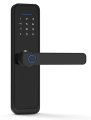 DOORMAN Biometric Smart Door lock. 