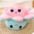 Double Side Flip Mood Reversible Octopus Toy. 