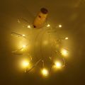 Wine Bottle Cork Copper String Fairy LED Lights. 