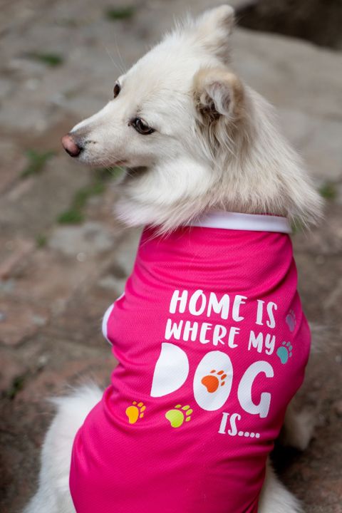 Cute Summer Printed T-shirts For Dogs I Dog Clothes l Khicha I