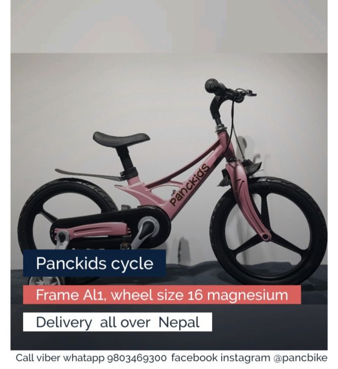 Kids Bike Bicycle Girls Boys Children Baby Kids Cycle For 2  To 6 To 10 Years Old