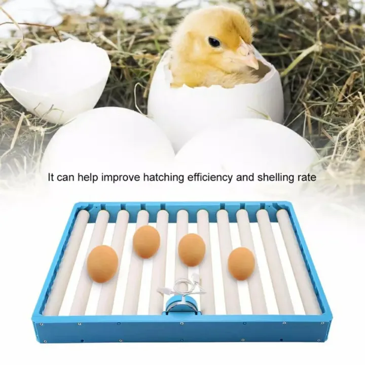 Blue%20Turning%20Tray%201%20Set%20360%20Degree%20Chicken%20Eggs%20Motor%20Turning%20For%20DIY%20Automatic%20Incubator%20Duck%20Quail%20Bird%20Poultry%20Farming%20-%20Image%202