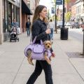 Fashion Portable Dog Carrier Bag Breathable Handheld Cat Handbag Comfortable Dog Sling Backpack Walking. 