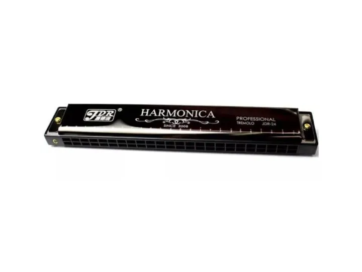 Harmonica%2024%20Hole%2048%20Tones%20C%20Key%20with%20Case,%20Diatonic%20Harmonica%20for%20Beginner,%20Adult,%20Kids%20-%20Musical%20Instruments%20-%20Image%202
