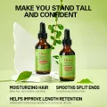 Disaar Rosemary Mint Scalp & Hair Strengthening Oil – 60ml – Revitalize, Nourish & Strengthen Your Hair with Natural Herbal Infusion. 