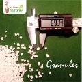 Perlite for Gardening/Perlite for Plants Potting Mix (500 Gram). 