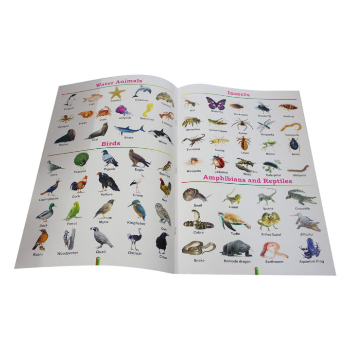 Big%20All%20In%20One%20ABCD%20Book%20-%20Image%203