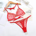 New Style Pink Lace Transparent Embroidery Sexy Hot Underwear With Bra And Panty Set. 