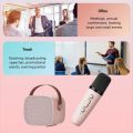 DSP System Speaker Portable Mini Bluetooth Speaker Stereo Surround Karaoke Machine Karaoke Speaker Subwoofer Singing Wireless Dual Microphones For Kid. 
