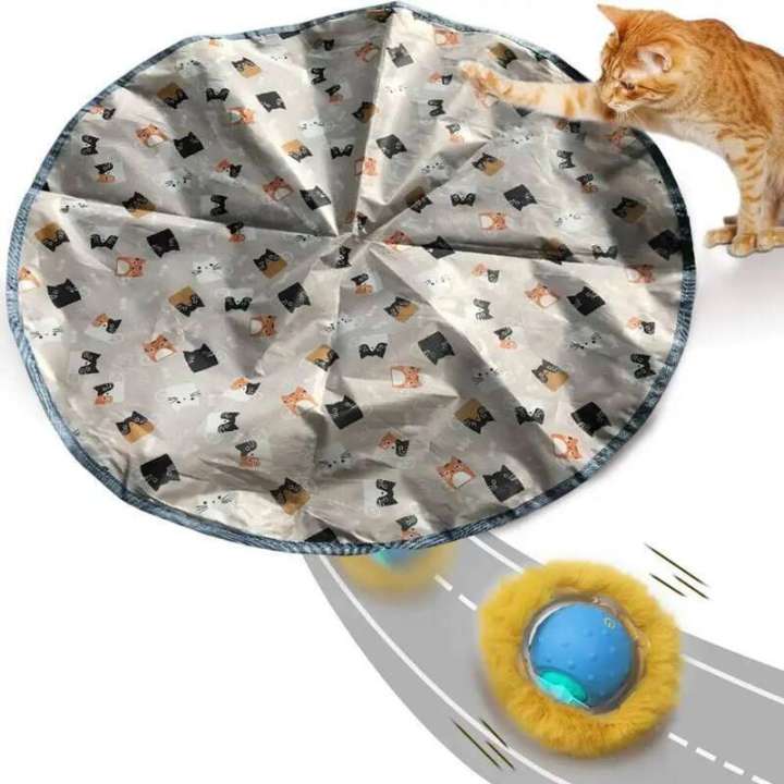 Hunting%20Cover%20Cat%20Toys,Hide%20and%20Seek%20Kitten%20Toy,%20Interactive%20Motion%20Activated,Cat%20Exercise%20Toy,for%20Indoor%20Cats/Kitty%20-%20Image%205