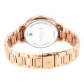 Titan Quartz Analog Rose Gold Dial Watch for Women -2648WM04. 
