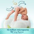 Pampers Premium Care Pants, Medium size baby Diapers, (M) 54 Count Softest ever Pampers Pants. 