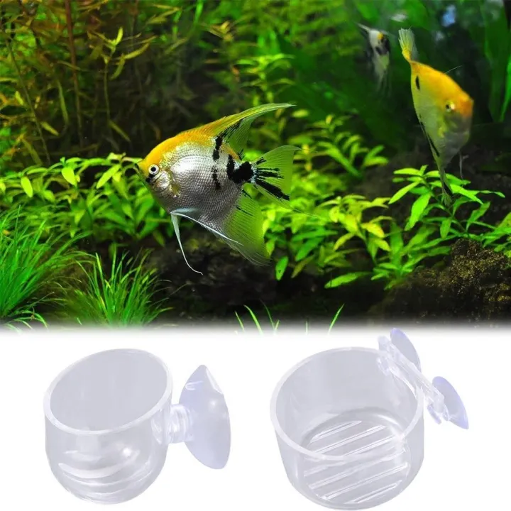 3%20PCS%20Polka%20Type%20Acrylic%20Glass%20Pot%20Fish%20Tank%20Planted%20Tank%20Breeding%20Basin%20Water%20Plant%20Landscape%20Cup%20Plant%20Cup%20Holder%20Mini%20Cup%20-%20Image%205