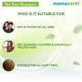 Mamaearth Tea Tree Shampoo 250 Ml Natural Hair Care Product for Allergy-Free Skincare. 