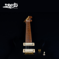 Jet Guitars JS 700 MBK HH Roasted Maple Gold Hardware w/ Gigbag. 