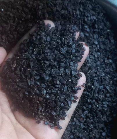 Ban Silam / Van Silam -1kg