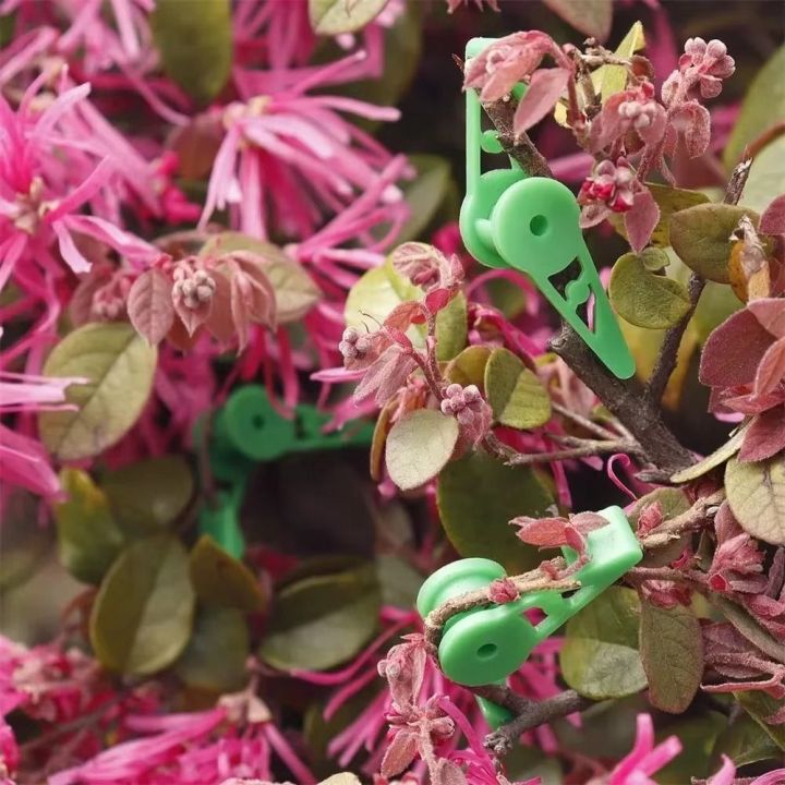 30Pcs%20Durable%20Plastic%20Plant%20Benders%20Growth%20Manipulation%20Plant%20Stem%20Branche%20Bending%20Low%20Stress%20Clip%20Garden%20Supplies%20Reuseable%20Plant%20Support%20Clamps%20-%20Image%205