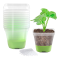 12 Packs 3 Inch Square Plastic Nursery Pots, Clear Plant Pot with Soft Silicone Base for Easy Transplant, Flower Pots. 
