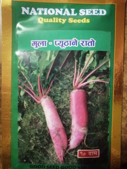 Radish (प्युठाने राताे)