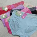 Pack of 2 XL Size Cotton Panties (Underwear) For Women. 