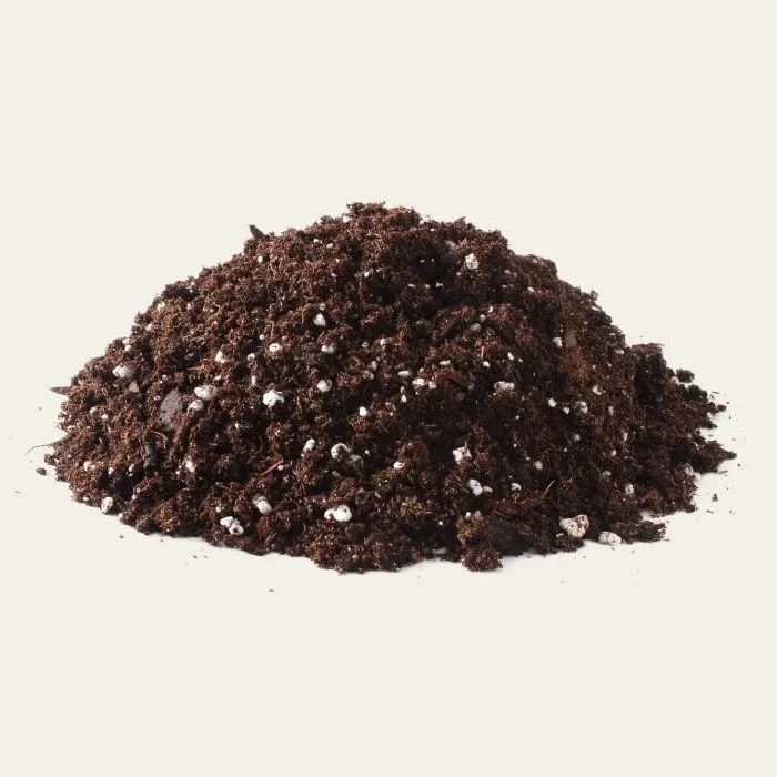 Seed%20Germination%20Mix%20-%201%20KG%20%7C%20Potting%20Mix%20Seed%20Germination%20-%20Image%205