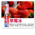 Upgraded Fruit Flavor Fresh Alternative Cool Mint Suction Stick Portable for Any Ocn. 