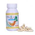 Holistic Ginseng 90 Capsules- Per Capsule-500MG. 