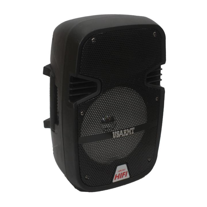 8 Inch Bluetooth Portable Speaker