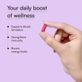 HK Vitals Chelated Iron Supplement 60 Capsules With Zinc Vitamin C & Vitamin B12 Supports Blood Building Immunity and Energy. 