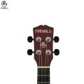 Manaslu Danfe 24 Inch Concert EQ Ukulele With Package. 