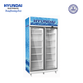 Hyundai 1006 Ltr Upright Showcase Freezer | SC1006 (HYU1006VC). 