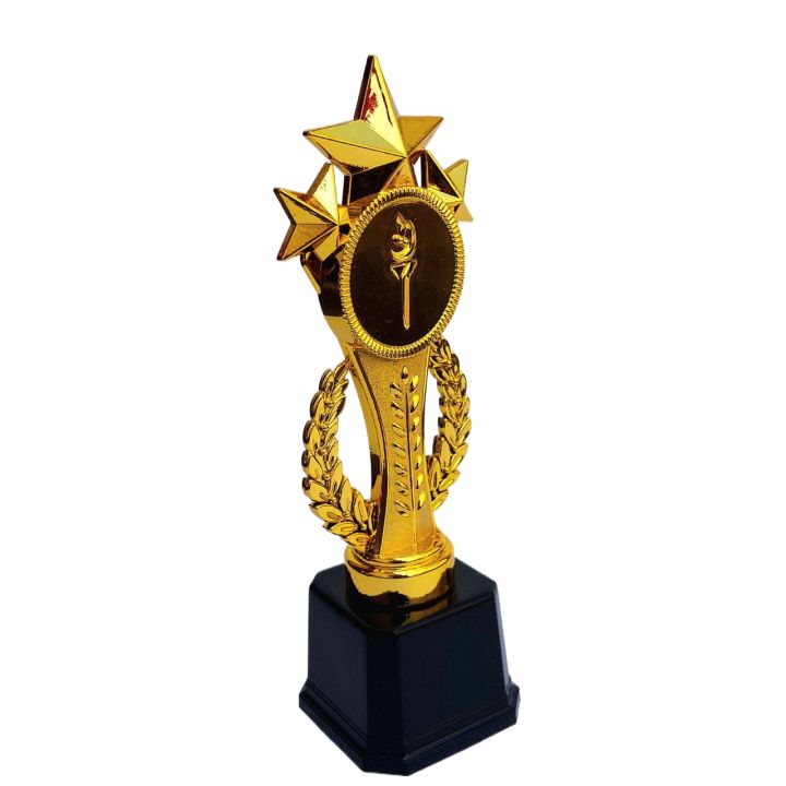 25cm%20Gold%20Cup%20Winner%20Trophy%20%20for%20Awards,%20Party%20Celebrations%20Ceremony%20Appreciation%20Gift%20Sport%20Academy%20AS%20-%20Image%202