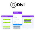 Divi Theme With An API Key For Lifetime Updates. 