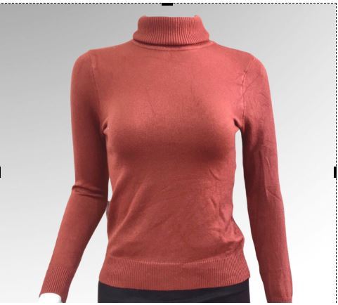 Turtle Neck Sweater For Women