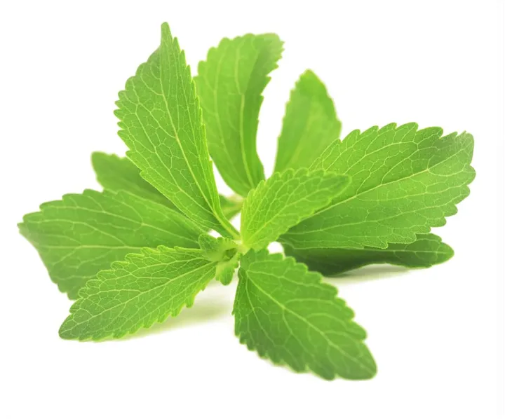 20%20Plus%20Seeds%20Of%20Stevia%20(Sugar%20leaf)%20-%20Herb%20Seeds%20For%20Planting%20(Loose%20Packet)%20-%20Image%205