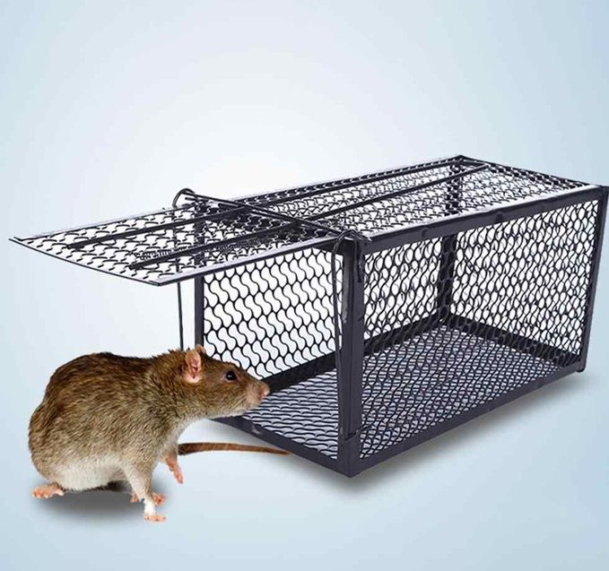 full details of Rat Cage Mice Rodent Animal Control Ca Rat Cage Mice Rodent Animal Control Ca