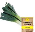 Vegetable Seeds- 1 Packet Leek Seeds Mix. 
