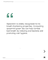 Spearmint Green Tea For Weight Loss and Fresh Breath - Nepal Tea Exchange- 100g. 