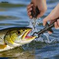 Wenefang Fishing Pliers and Gripper Set Fishmen Muti-Function Fishing Gear 2025 New Hook Remover Ice Fishing Tool Flyfishing Gear Gifts for Men. 