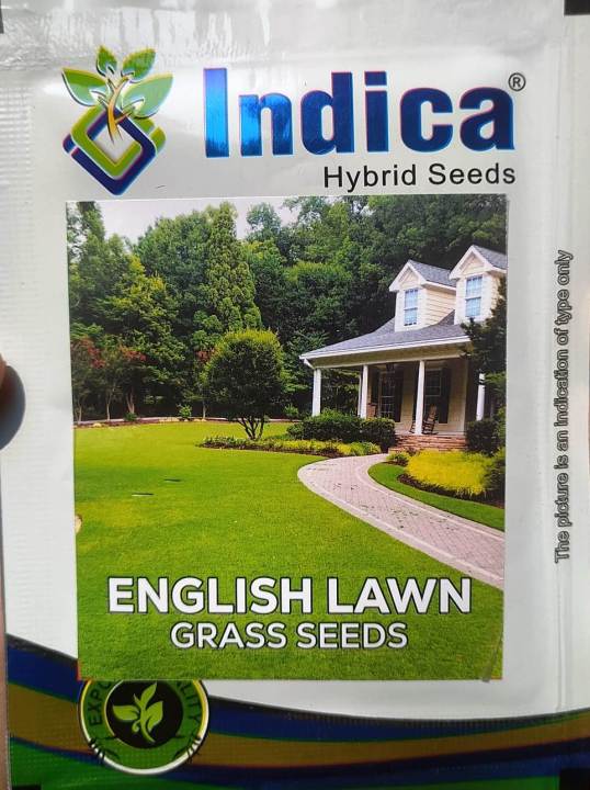 English Lawn Grass Seeds - Fresh Lawn And Garden Seeds 10 Gram