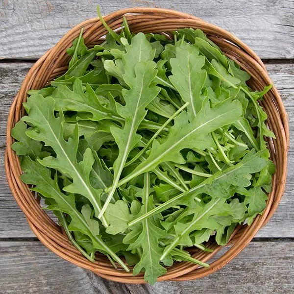 20+%20Seeds%20Rocket%20Rucola%20Arugula%20Cultivated%20Imported%20Exotic%20Seeds%20Kitchen%20Garden%20-%20Image%202