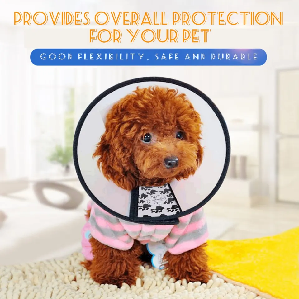 Elizabethan Dog Cat Pet Wound Healing Cone E- Collar White with