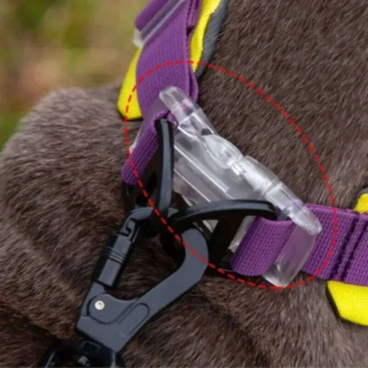 Dog%20Collar%20Adjustable%20Nylon%20Necklace%20Accessories%20Personalized%20Small%20Medium%20Large%20High%20Quality%20Padded%20Dogs%20Leads%20Pet%20Products%20-%20Image%205