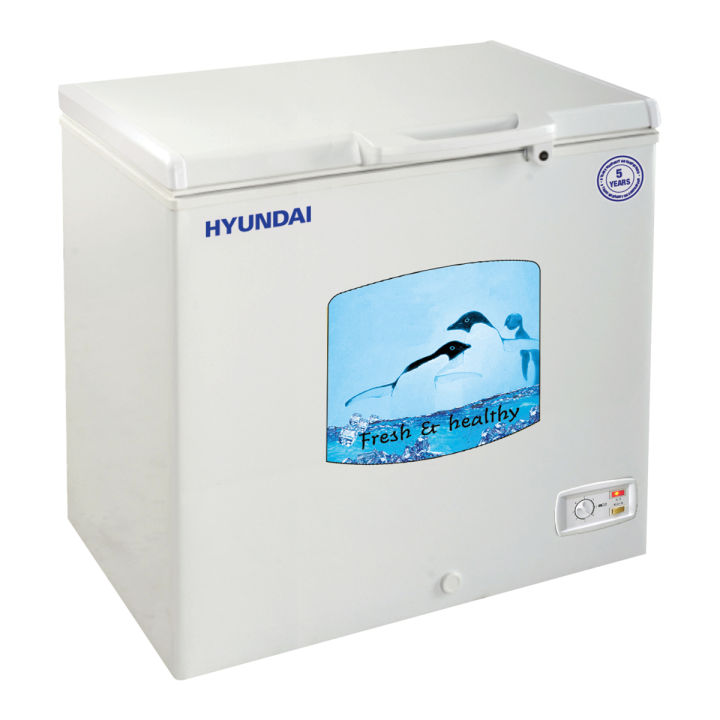 Hyundai%09300%20L%20Hard%20Top%20Chest%20Freezer%20%7C%20BD300AF%20(HYU300)%20-%20Image%203