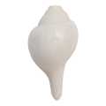 Vamavarti Blowing Shankh (White) ~ Shankha Conch Shells - Sea Shell Shankh For Lung Size 11 Inch 500Gram. 